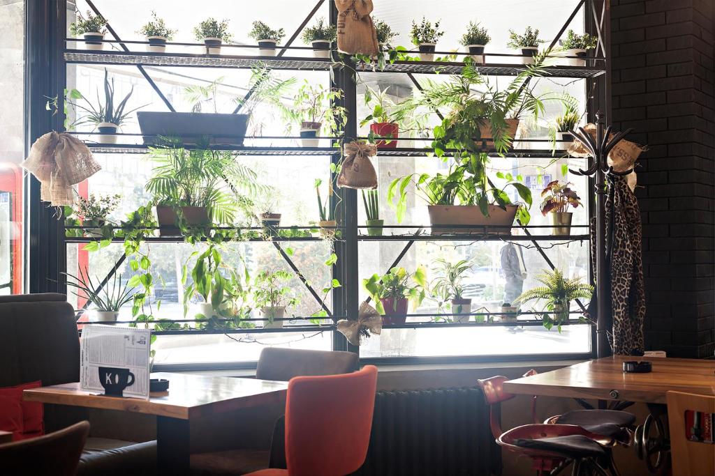 Kombinat Rooms City Center - Resim 35