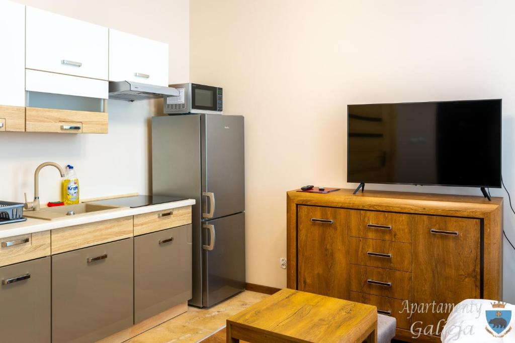 Kuchyň nebo kuchyňský kout v ubytování Apartamenty Galicja