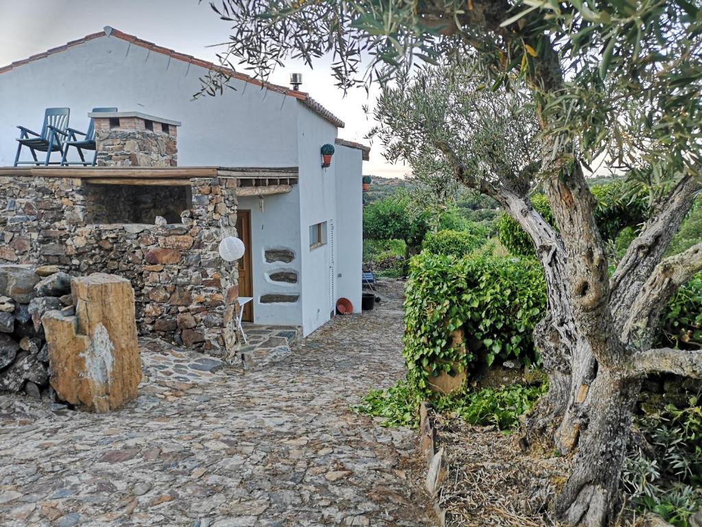 ein weißes Haus mit einem steinernen Weg dorthin in der Unterkunft Monte das Cascatas in Marvão