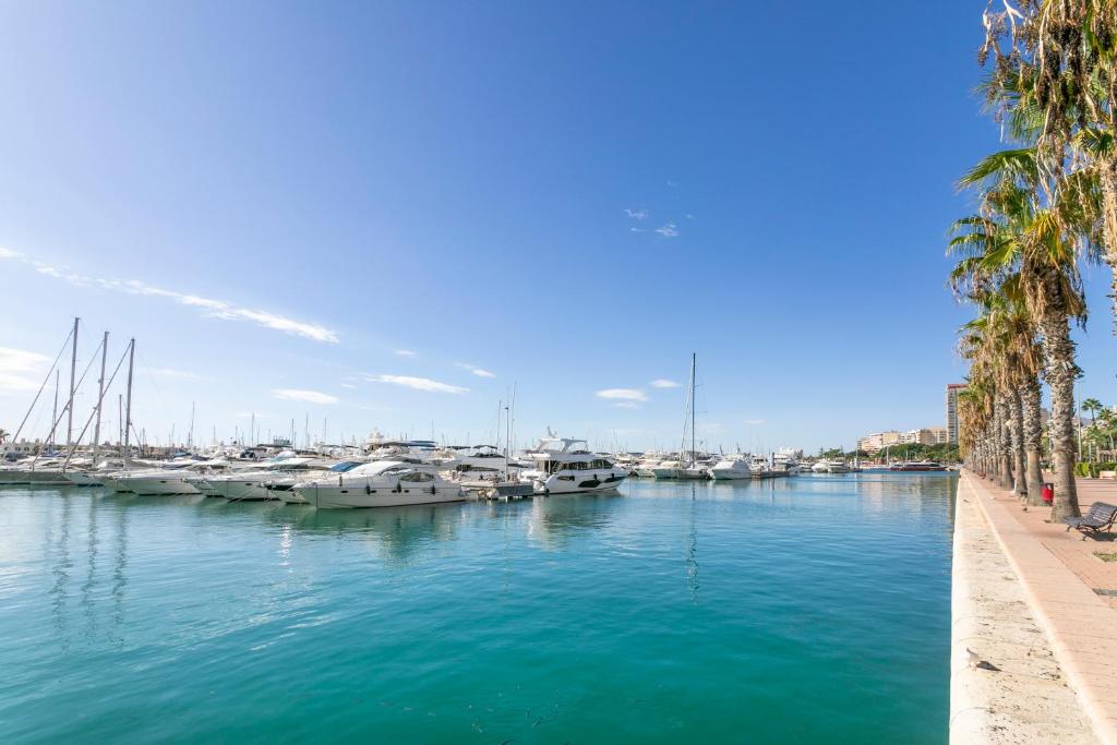Beach Suite, city & mountain view, Alicante – Updated 2023 Prices