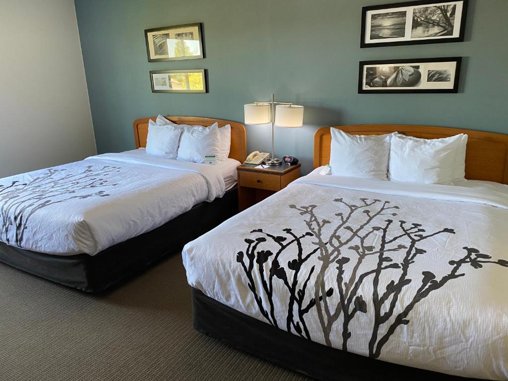 Sleep Inn & Suites Davenport - Quad Cities - Habitación Con 2 Camas Grandes - No Fumadores