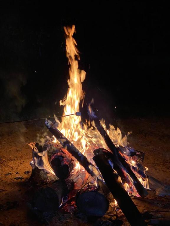  Fazenda Casarão dos Pireneus