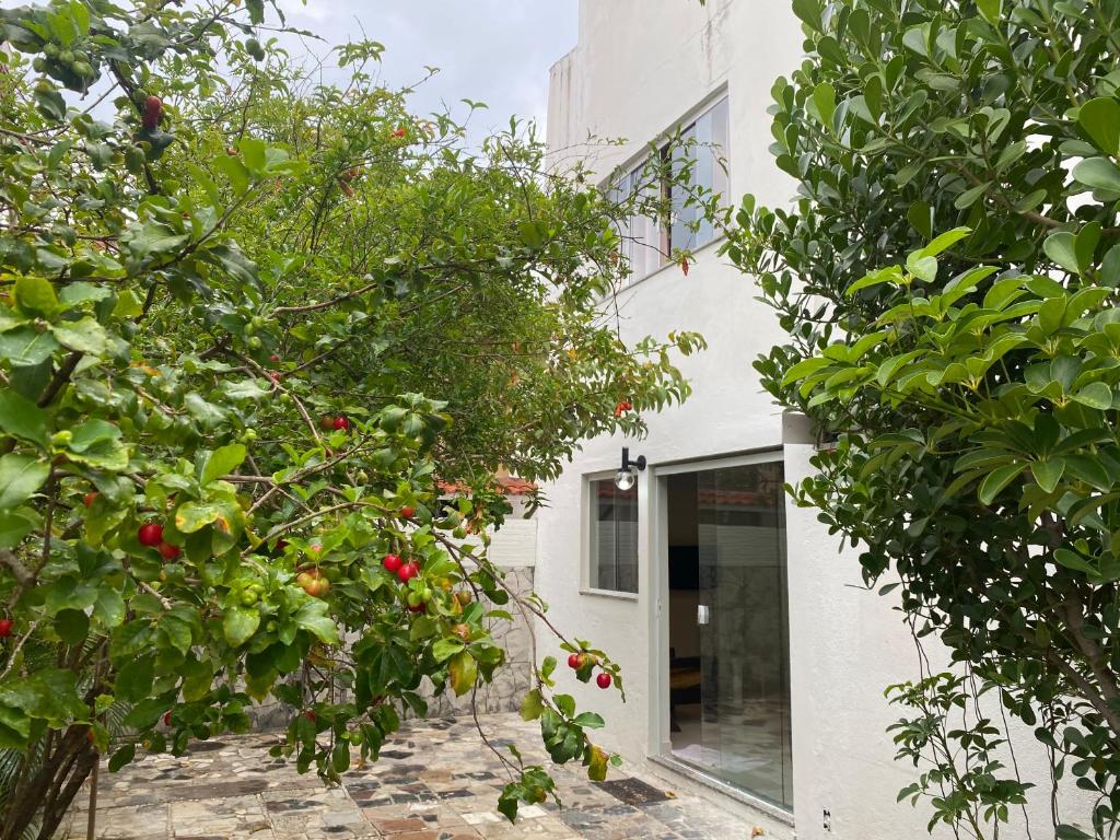  Moderno e pratico apt de dois quartos em Stella Maris