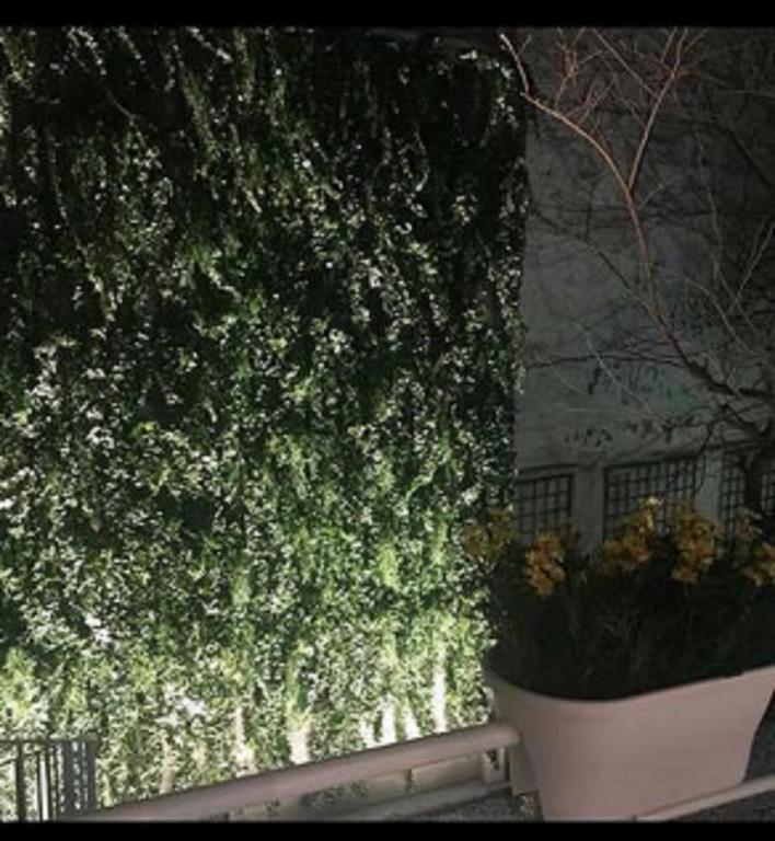 a ivy covered wall next to a plant at Holiday Inn Paris Montmartre, an IHG Hotel in Paris