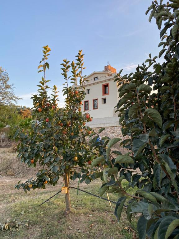 Hotel Rural Mas de lIlla, Tivissa – Bijgewerkte prijzen 2022