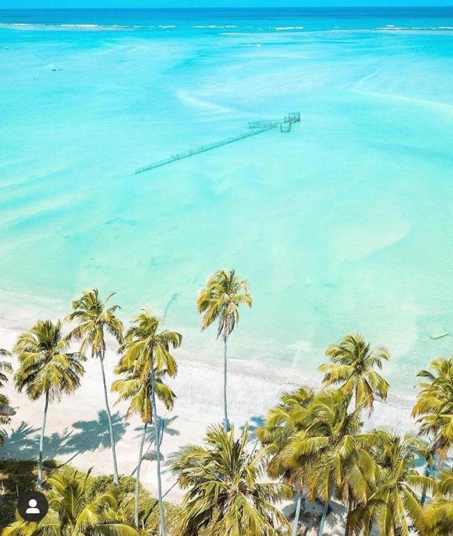  Casa na Praia de São Bento Maragogi Alagoas com piscina