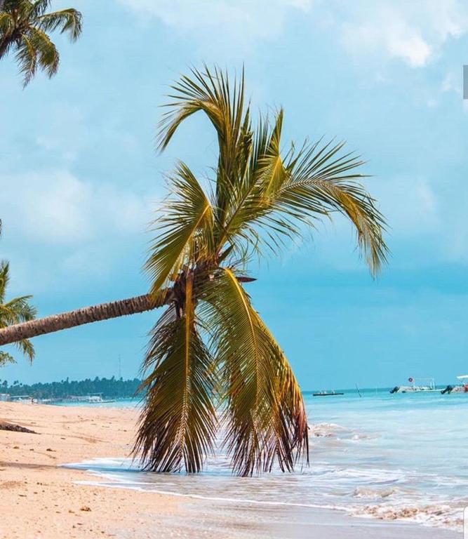  Casa na Praia de São Bento Maragogi Alagoas com piscina