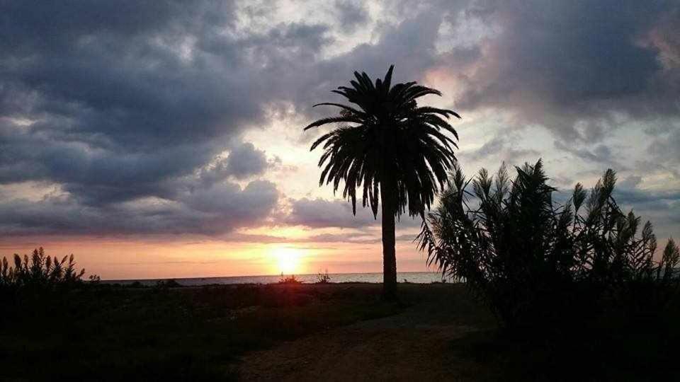 Fotografie z fotogalerie ubytování Mediterrania Pinazo v destinaci Puerto de Sagunto