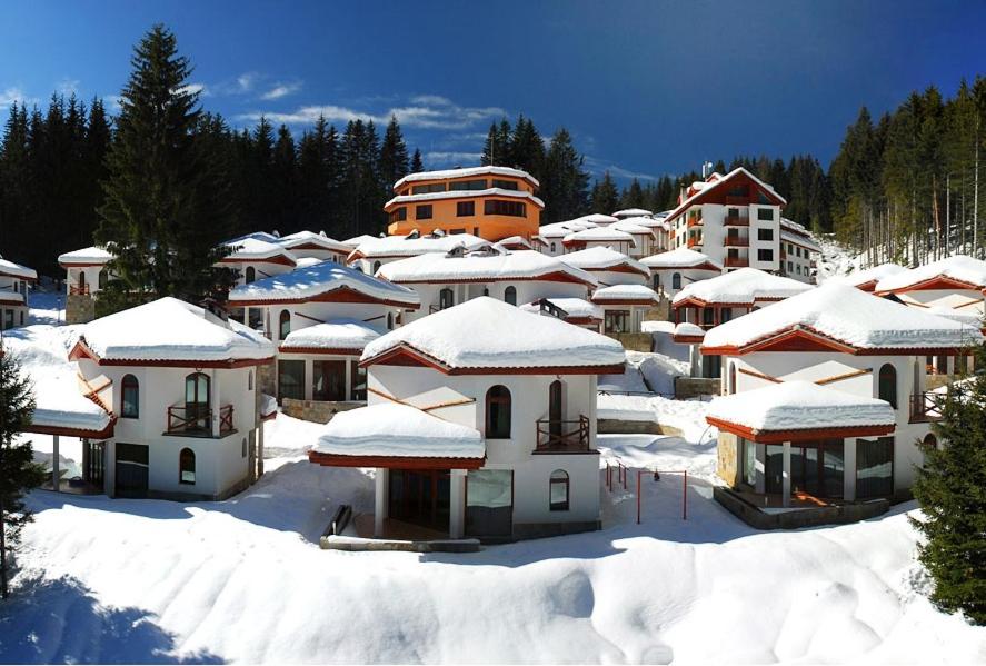 Ski Villa in Pamporovo Forest v zimě