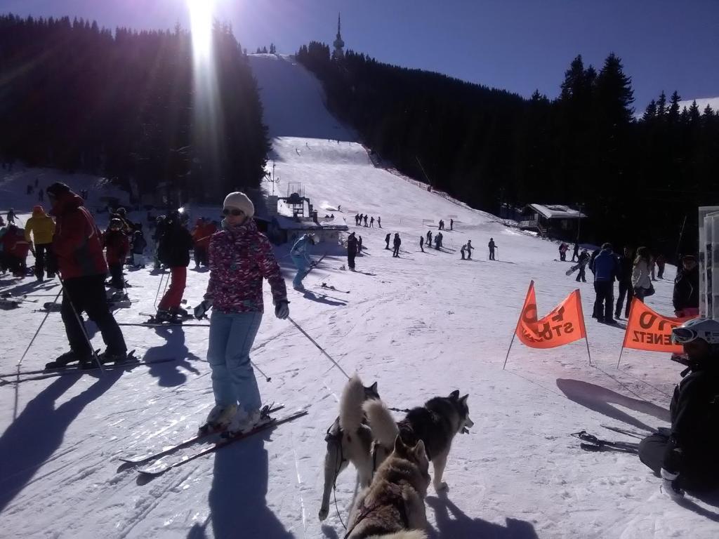 Hosté ubytování Ski Villa in Pamporovo Forest