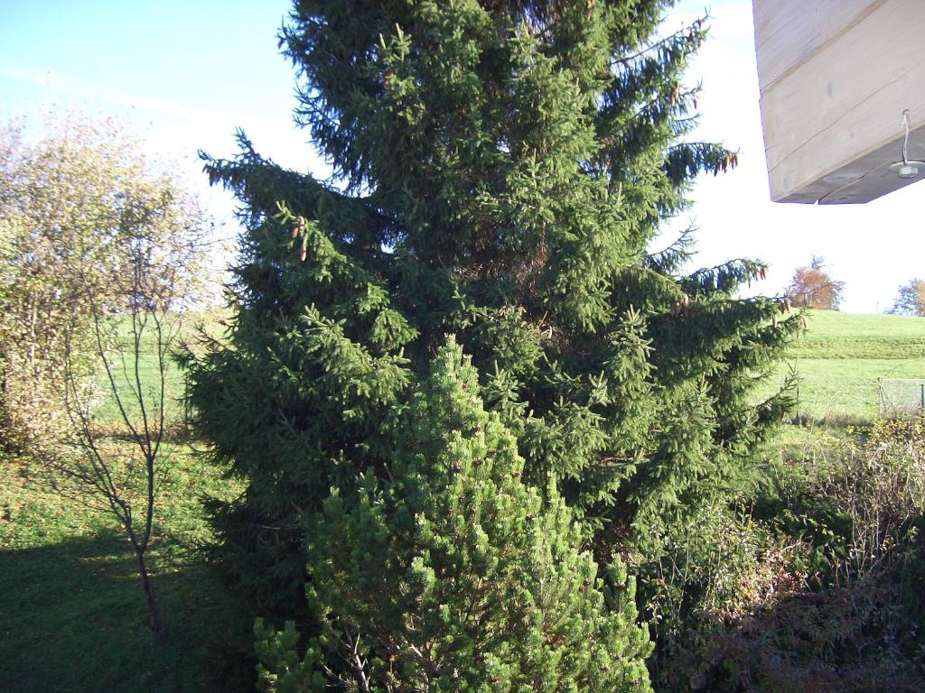 Gästehaus Guggomos "Hopfen am See" - 9