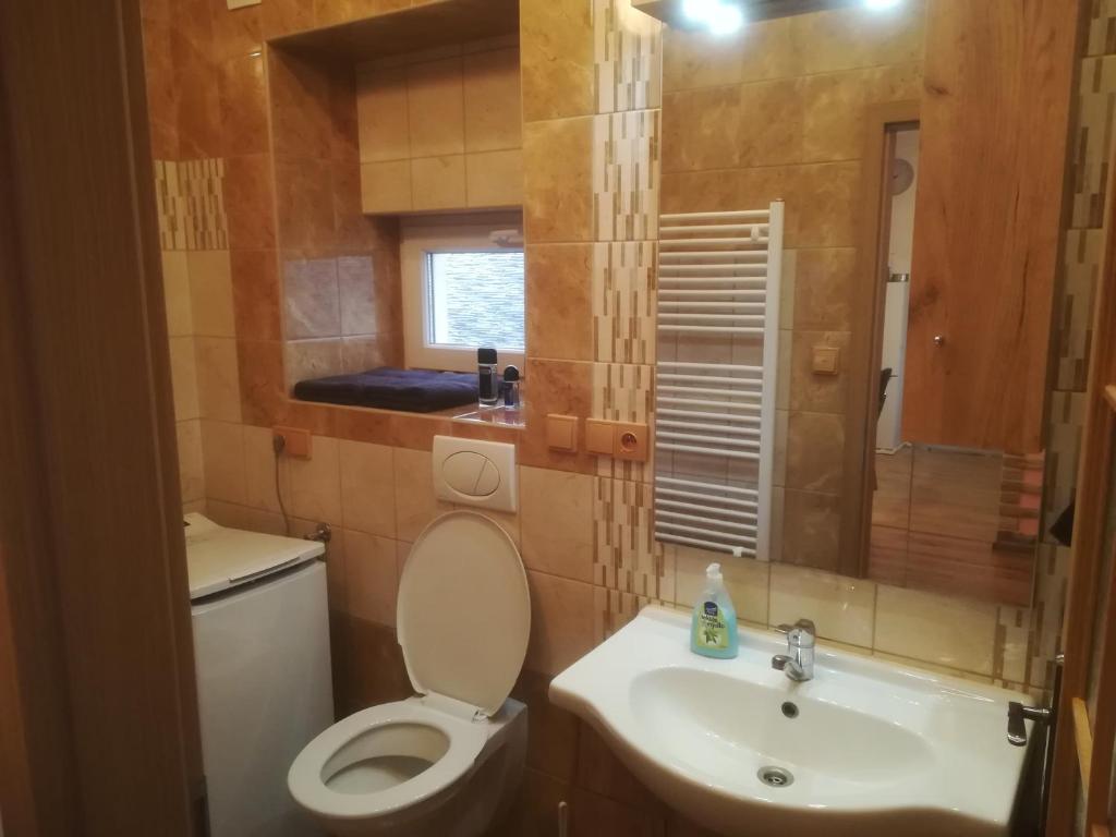 Koupelna v ubytování Apartmány pod Barunčinou školou