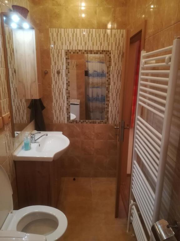 Koupelna v ubytování Apartmány pod Barunčinou školou