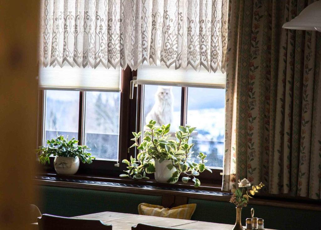 Fotografie z fotogalerie ubytování Pension Stoffenbauer v Ramsau am Dachstein