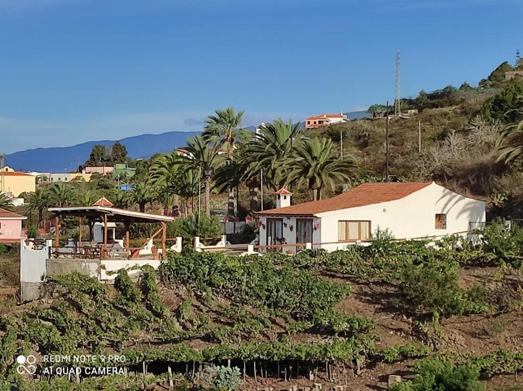 een huis op een heuvel met palmbomen bij Casa Rural Los Barros in Genovés
