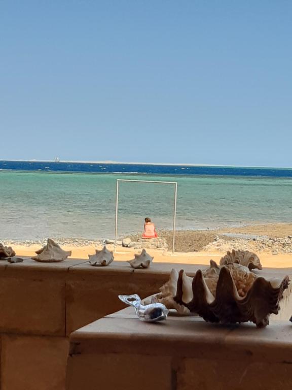 vistas a la playa con una persona en el agua en вилла Coral Paradise, en Safaga