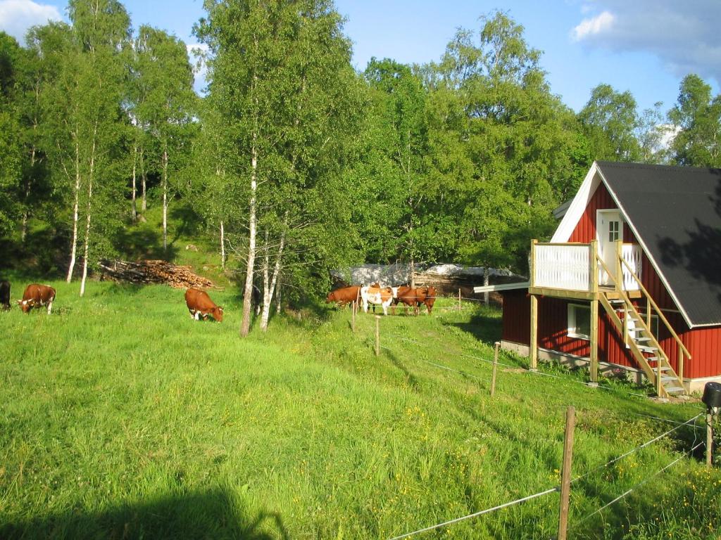 Zahrada ubytování Loft Ålaryd