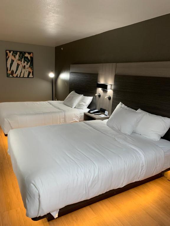 Quality Inn & Suites North Mesquite I-30 - 标准皇后室，有两张大床 - 不吸烟