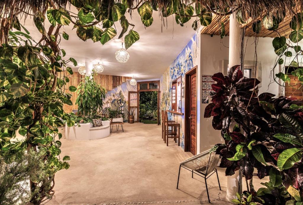 Zahrada ubytování Hotel Aires Bacalar