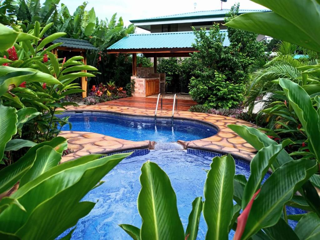 una piscina en un jardín con plantas en San Gabriel Apartments, en Fortuna