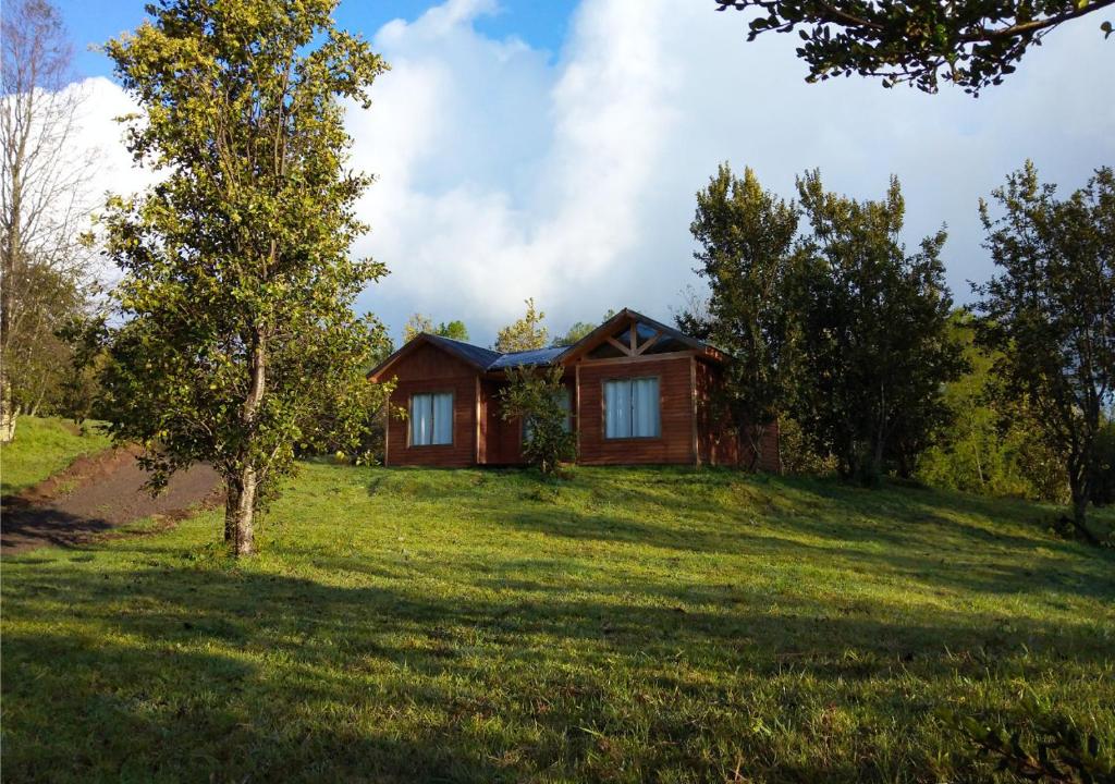 una casa en una colina de hierba con un árbol en Alojamientos doña Inés, en Pucón