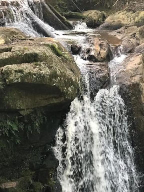  Chácara em Pedra Bela com cachoeira