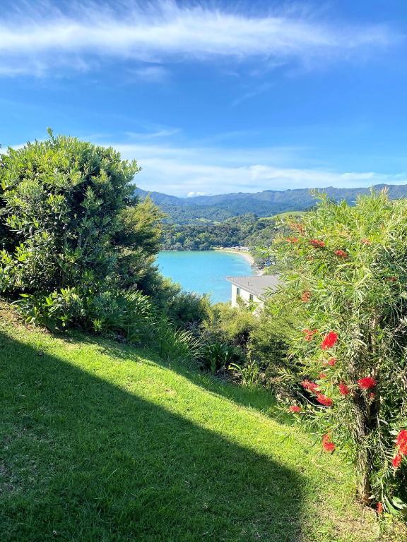 Coromandel Seaview Motel - Resim 16