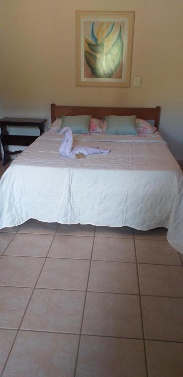  Chalé e Camping Daragona 1