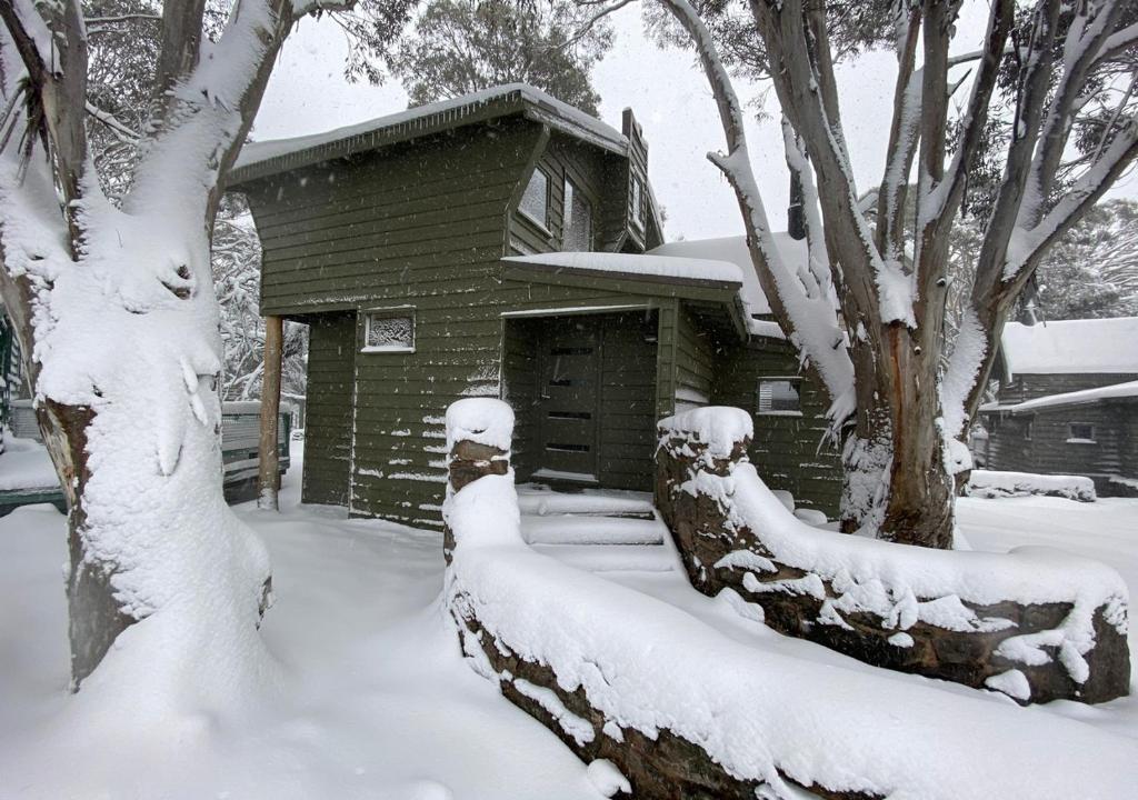 a house covered in snow with trees and a fence at Diamantina in Dinner Plain