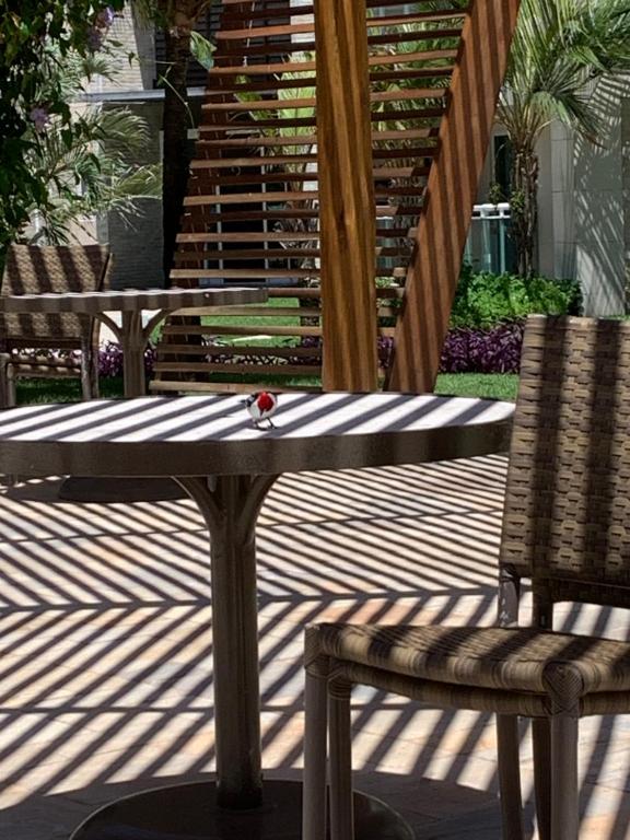  Apartamento pé na areia no Riviera Aquiraz Ceará