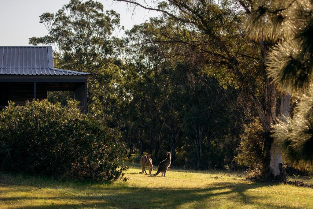 Zahrada ubytování Palmers Lane Estate Hunter Valley