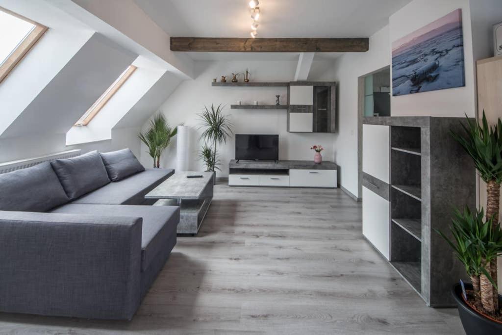 ein Wohnzimmer mit einem grauen Sofa und einer Küche in der Unterkunft Apartment Haus 8 Hohenwarsleben in Hohenwarsleben