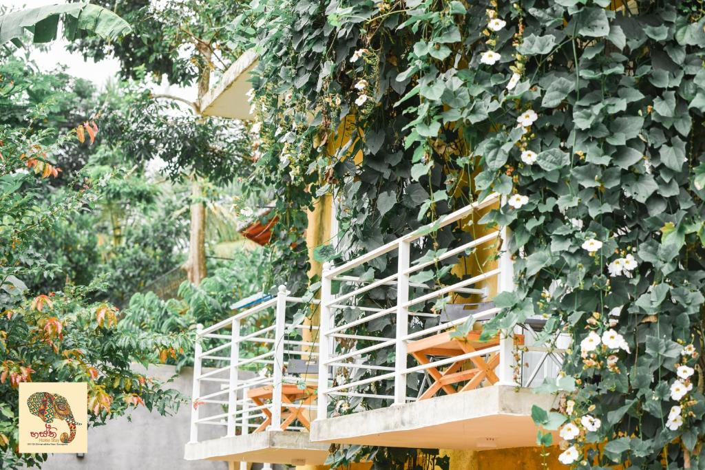 Hasthi Home Stay Kandy Updated 2021 Prices