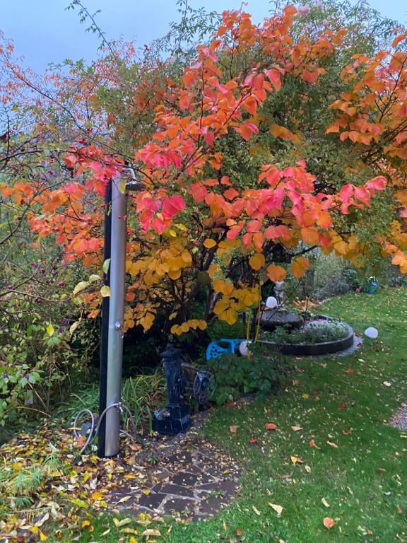 Giardino di Landhaus GRETE