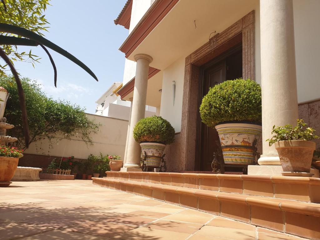 Alojamiento El Olivo - 17