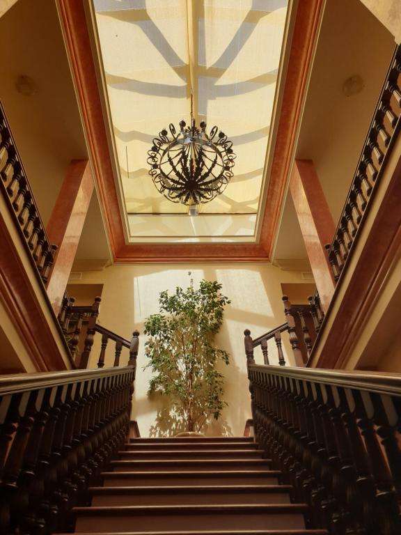 Alojamiento El Olivo - 15