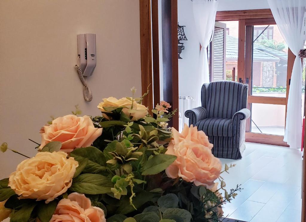 Resolut Temporada buganvilias  Resolut Temporada buganvilias