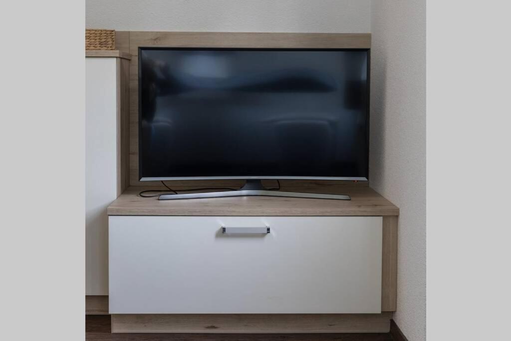 TV a/nebo společenská místnost v ubytování Weide - gemütliches Ferienhaus am Anger in Kloster, Insel Hiddensee