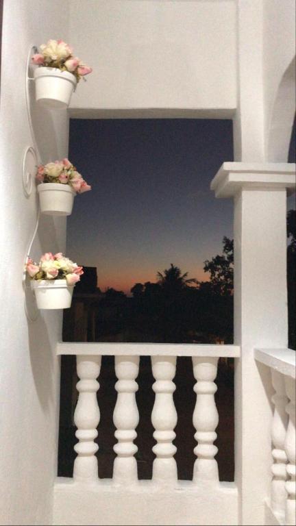  Jeri Brasil House - Hospedaria