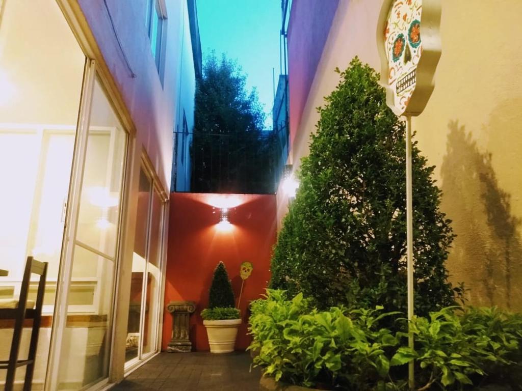 un edificio con un árbol y plantas en un patio en Residence Las Trojes Cdmx, en Ciudad de México