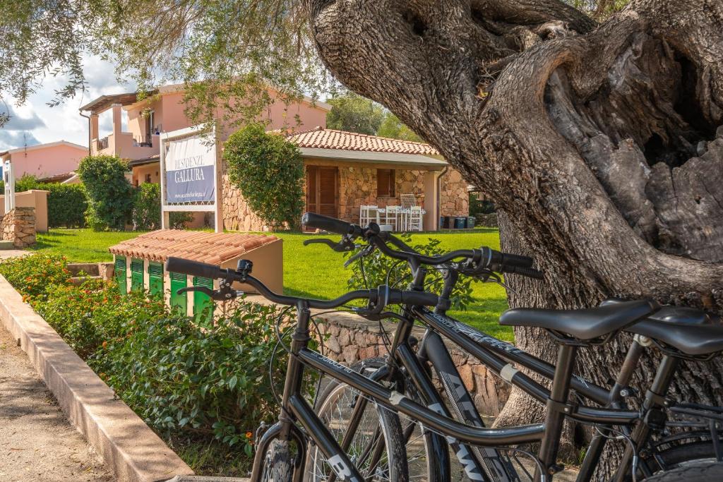 - un groupe de vélos garés à côté d'un arbre dans l'établissement Residenze Gallura, à San Teodoro