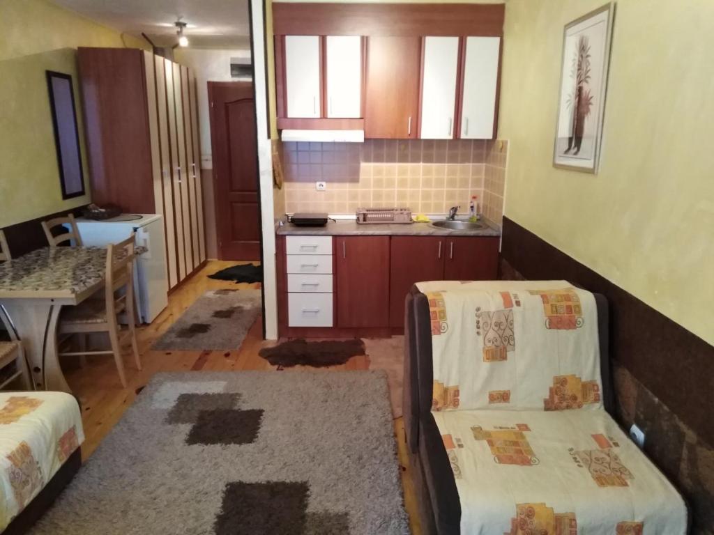 Kuchyň nebo kuchyňský kout v ubytování Smeštaj Popović