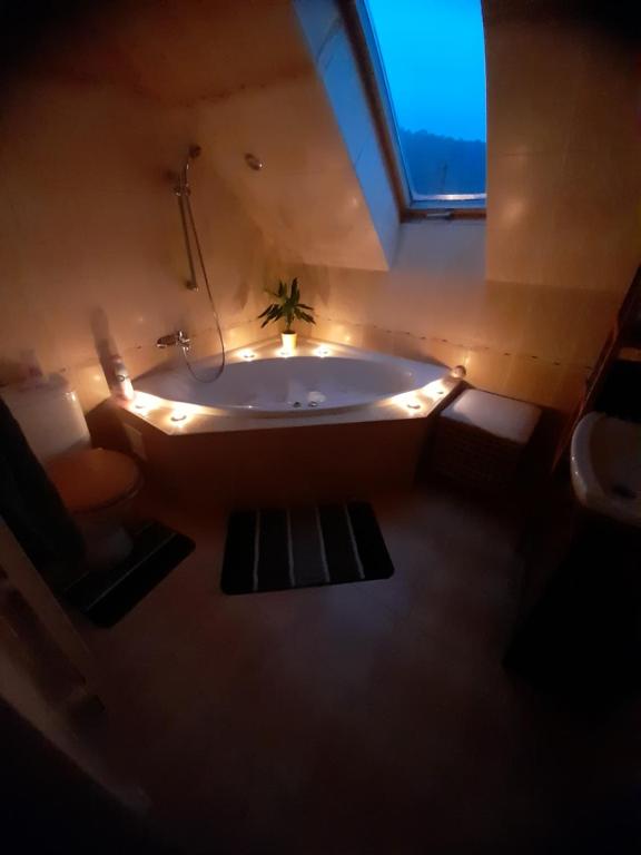Zdjęcie z galerii obiektu Apartmán u Lukáše w mieście Prostřední Lánov