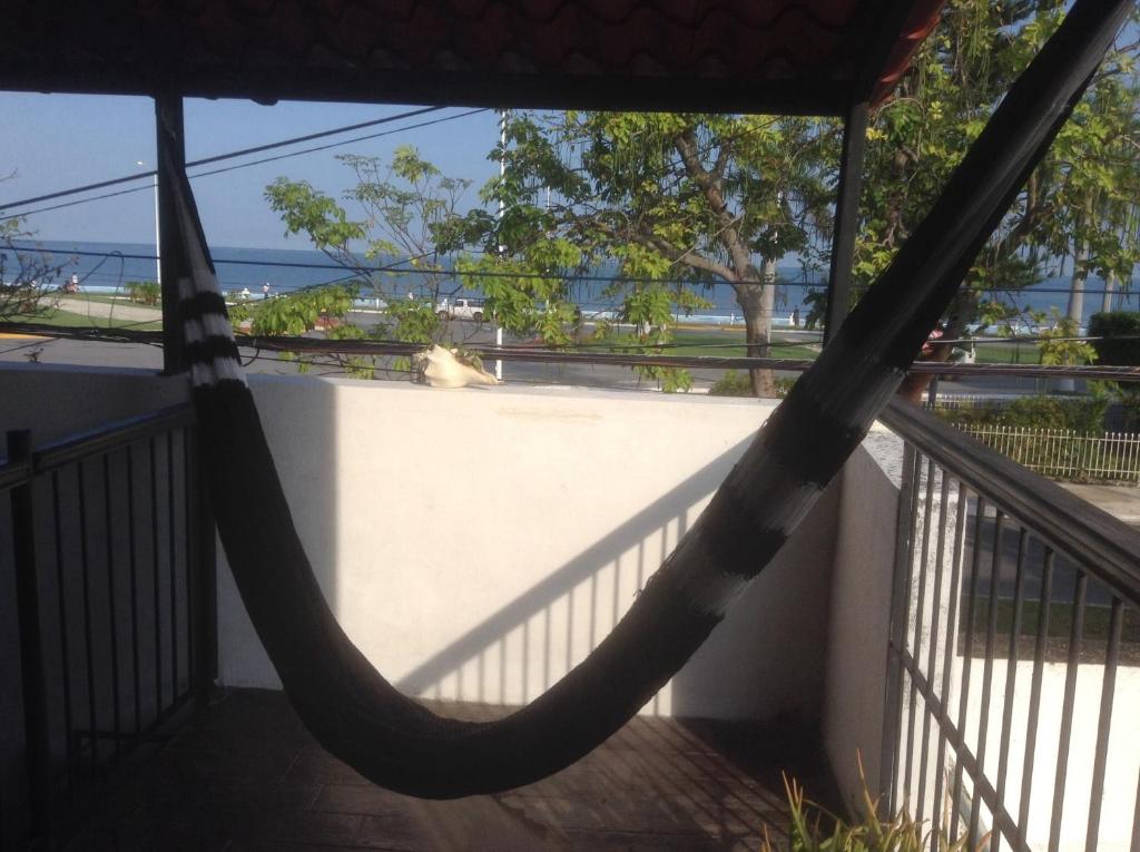 - un hamac sur un balcon avec un chien assis sur un mur dans l'établissement Loft del malecon, à Campeche