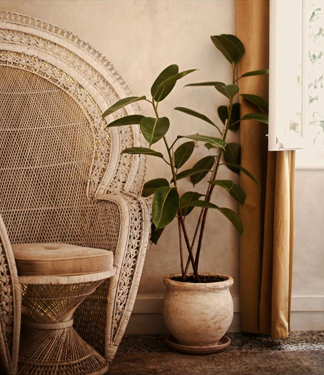 Shila Athens - Resim 33