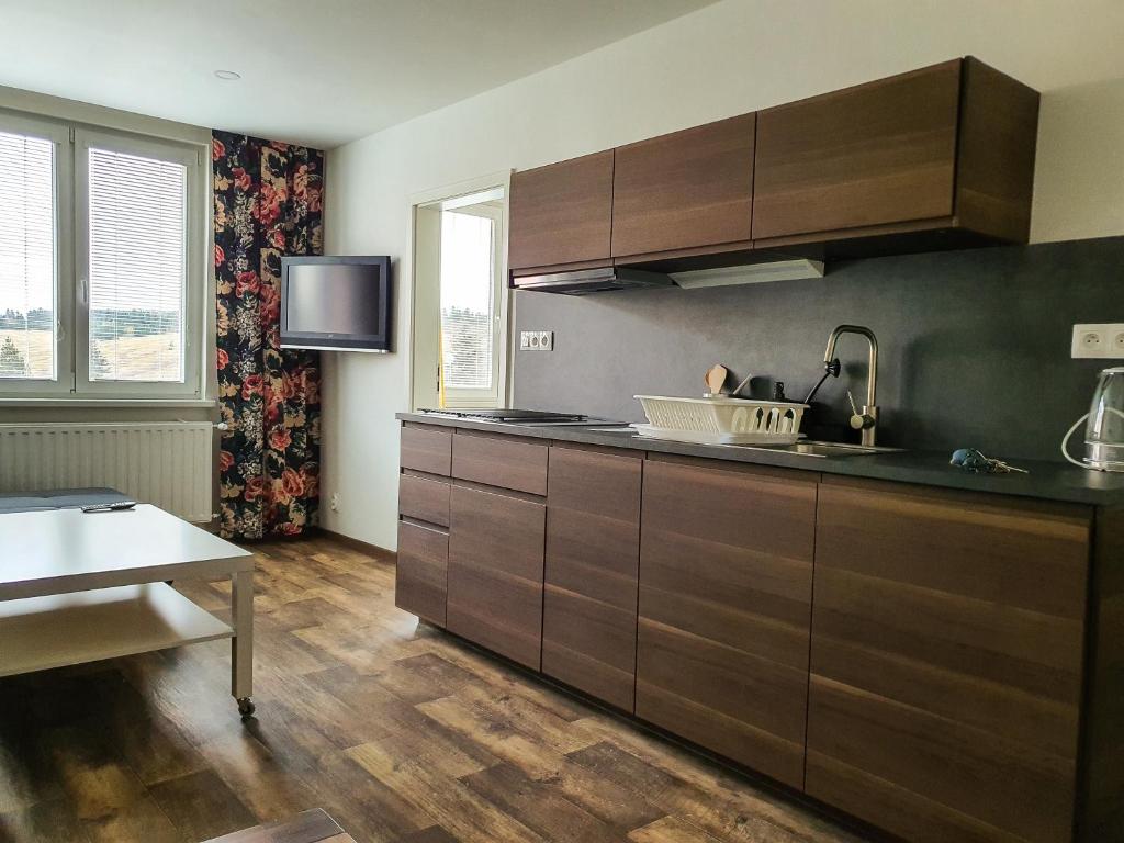 a kitchen with wooden cabinets and a sink and a tv at Apartmány SCHMIEDEBERG u KLÍNOVCE in Kovářská