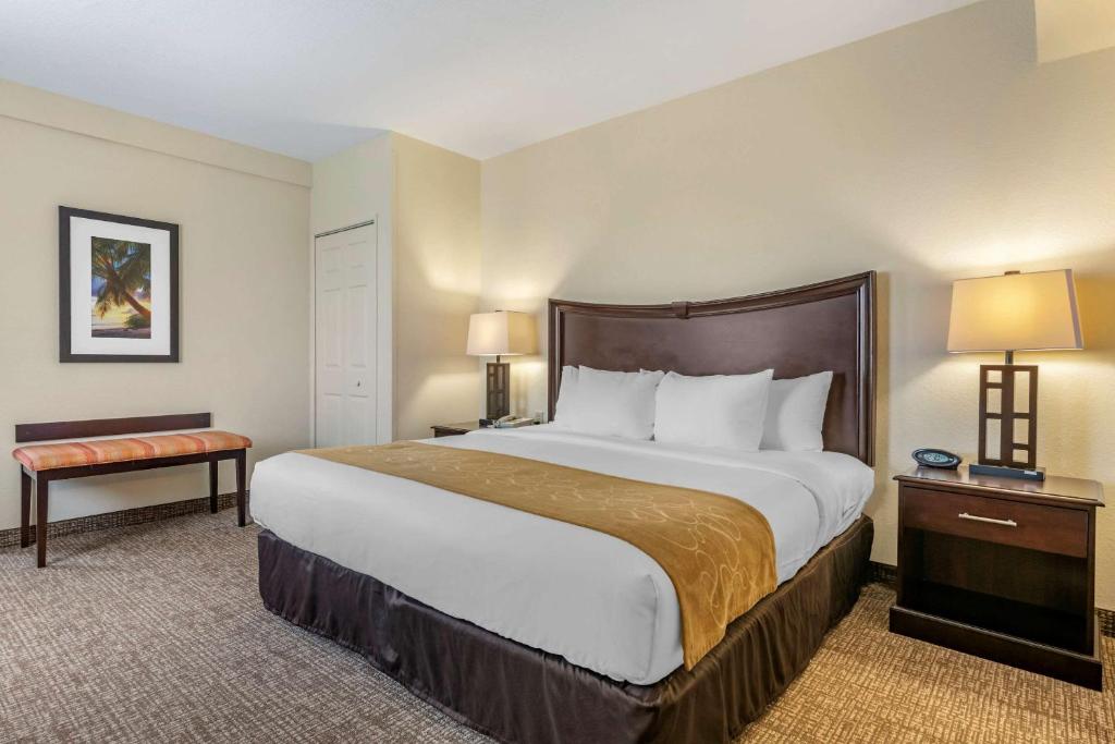 Comfort Suites Maingate East - Suite King D'une Chambre Avec Deux Salles De Bains - Accessible
