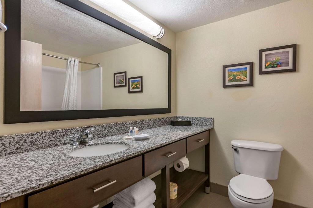 Comfort Suites Maingate East - Suite Royale
