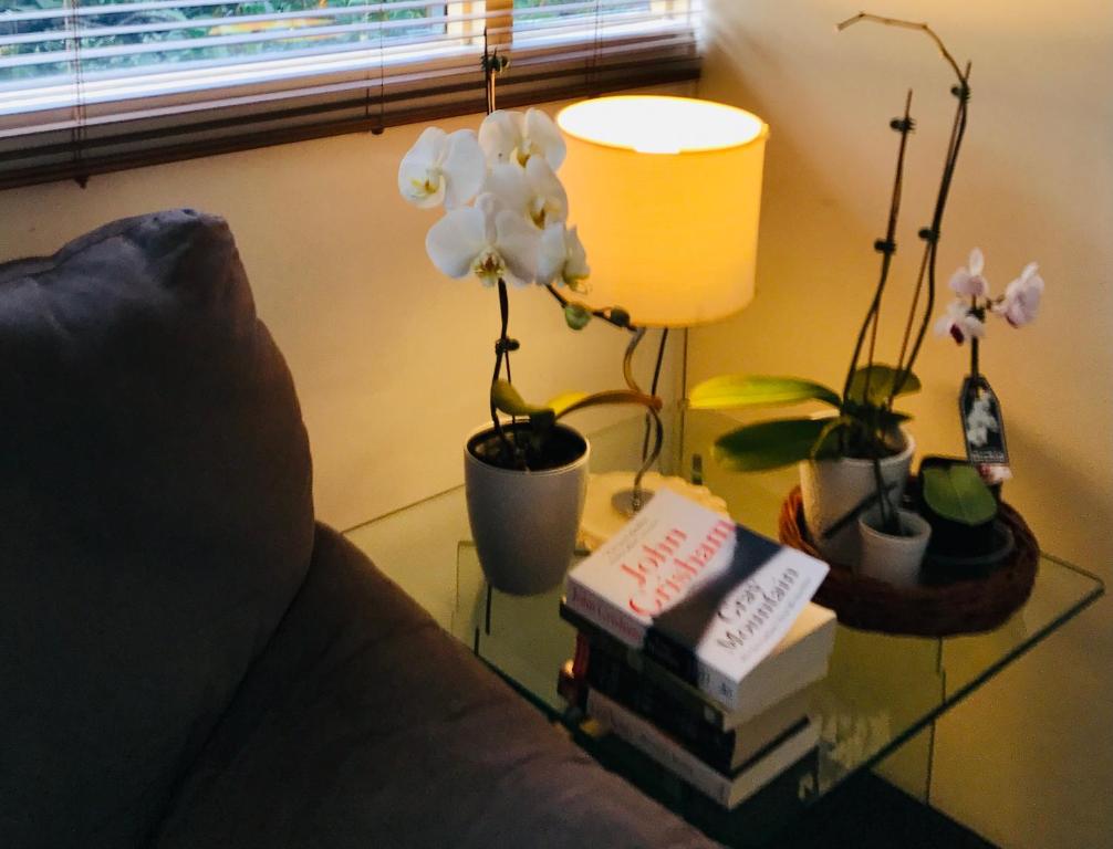 The Mews Motel - Resim 26