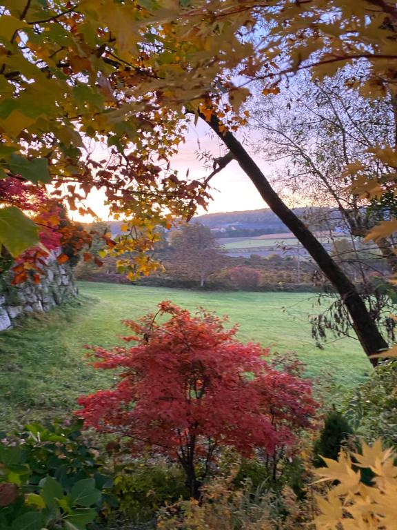 Paesaggio naturale nelle vicinanze dell'affittacamere